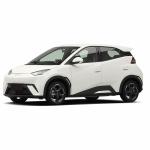 305 KM Long Range 2024 BYD Seagull Electric Car 5-Door Hatchback EV for Sale in