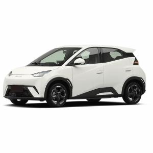 Quality 305 KM Long Range 2024 BYD Seagull Electric Car 5-Door Hatchback EV for Sale in Chinese Market wholesale