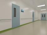 50mm Handmade Plate Stainless Steel Clean Room Doors Custom