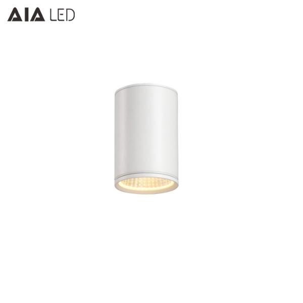 IP65 waterproof outdoor surface mounted downlight 5W COB outdoor down light