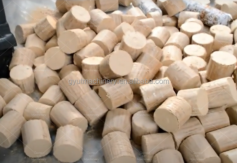 Sawdust Wood Briquette Machine 2024 Design 100 kg Per Hour Hydraulic Piston Press