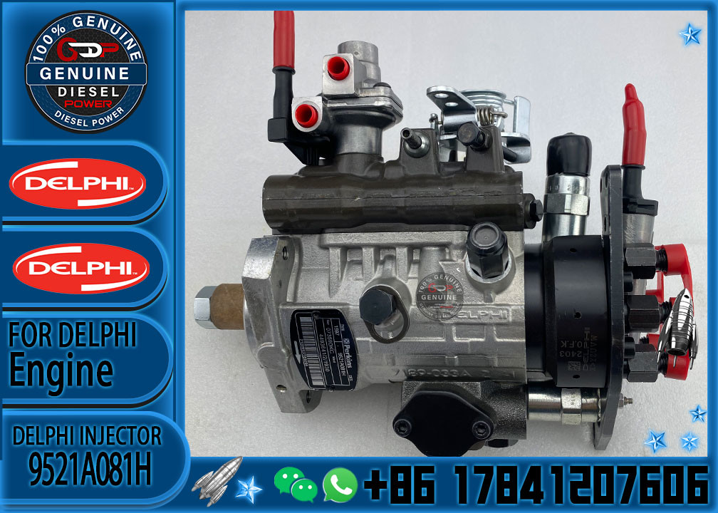 Diesel Fuel Pump 9521A081H 449364128283387 Pump for Perkins E320D2 Excavator injection pump 9521A081H