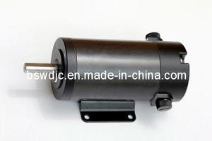 Quality DC Motor 220V 750W 3000rpm wholesale