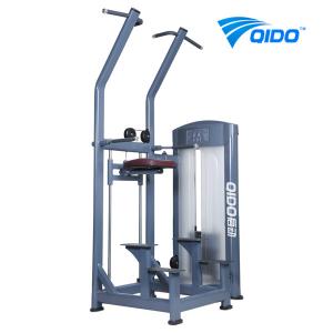 Quality Dip &amp; Hip Assist Machine wholesale
