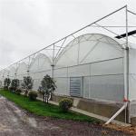 Hot Dip Galvanized Steel Multi Span Greenhouse Plastic Film For Plant Growing