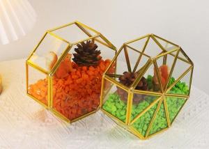 Quality Creative golden glass artifact windows display box garden dried flowers green plants succulent plant ornaments wholesale