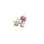 Endurance Test Cycle 000 Times Bimetallic Thermostat KST Thermostat 250C KST 820