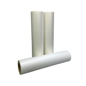 Quality 60cm Pet Film For Dtf Printing Low Temperature PET Transfer 33cm wholesale