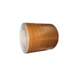 Coil Ppgi,prepainted Galvanized Steel Manufacturer of China Zebra Soft within 7