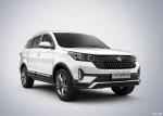 Left Hand Drive Fuel Gasoline SUV High Performance Petrol 7 Seats Car