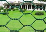 PVC Coated Width 2.0m BWG22 Diamond Wire Netting