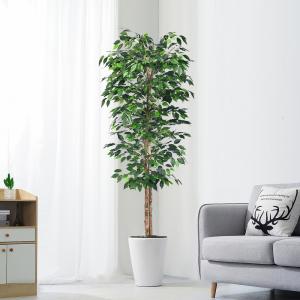Quality Flame Retardant H180cm Artificial Ficus Plant , Ficus Fake Tree Natural Look wholesale