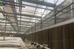High Yield Farming Polycarbonate Greenhouse Fruit And Vegetable Greenhouse