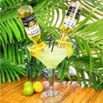 Slanted CoronaRitas Margarita Beer Holders CoronaRita Clip For Martini Glasses
