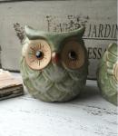 Succulent Creative Animals Owl Plant Flowerpots