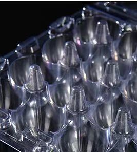 Hinged Plastic Egg Packaging Blister Clamshell 30 Hole Transparent Quail Egg Tray