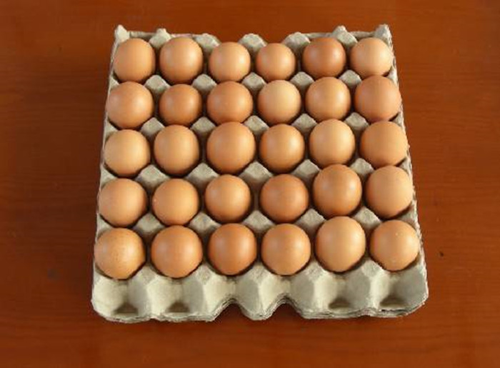 Reciprocating Type Egg Tray Making Machine With Egg Tray Molds