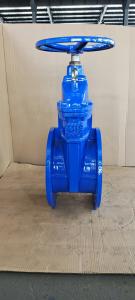 Quality DIN Cast Iron Soft Seat Gate Valve PN16 Non Rising Stem Customized wholesale