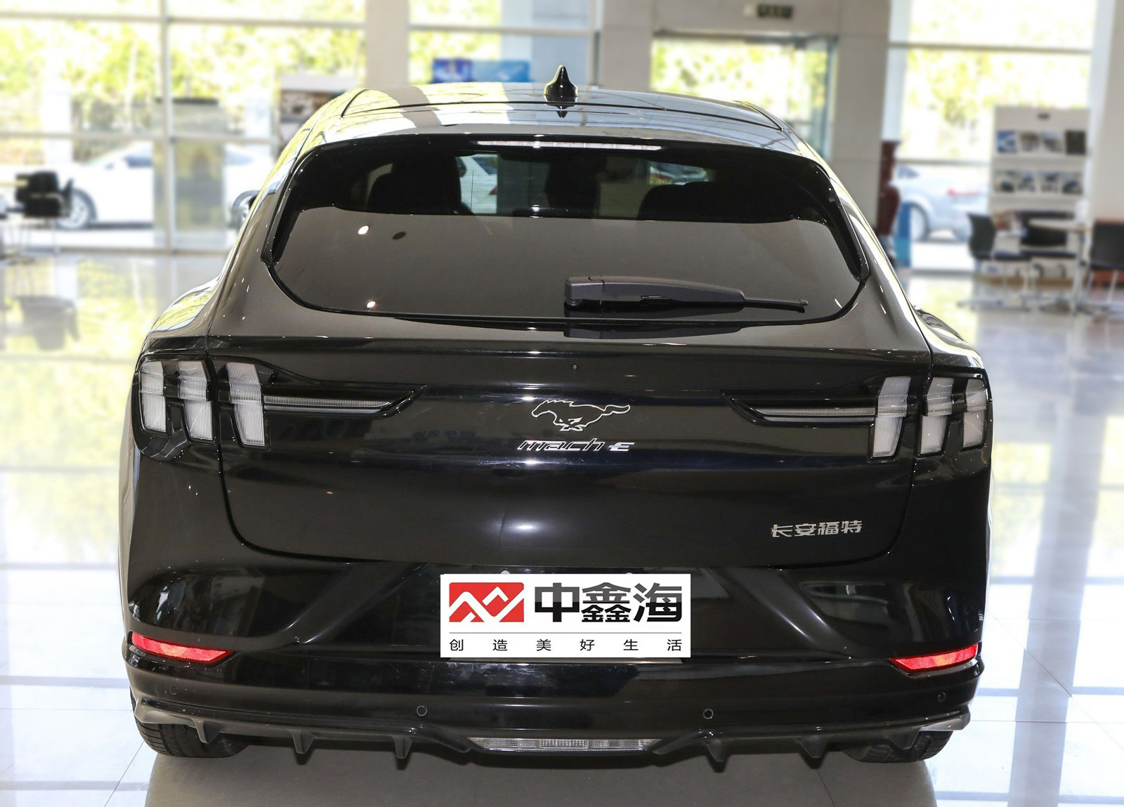 China Ebu Light Luxury 4 Wheeler Electric Vehicle Ford Electric Horse 2021 Borderless Rear Drive Deluxe Edition (Long Range)