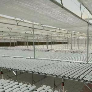 Quality Water Pipe Agricultural Greenhouse Solution with Film Cover and US 20/Square Meter wholesale