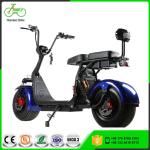 Double Battery Citycoco Big Wheel Electric Scooter 1000W With Hydraulic Disc