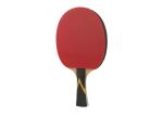 Professional Ayous Table Tennis Bats Sticky Rubber Perfect For All Round Player