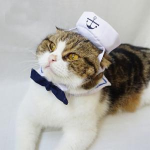 Quality Navy Set Cats Wearing Clothes Loveable Fashionable Any Logo Available wholesale