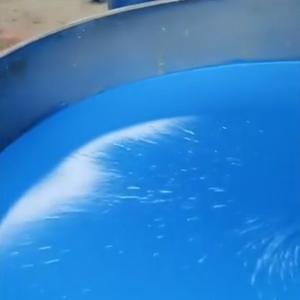 Quality Energy Saving Metal Protective Coating OEM Heat Insulation Paint wholesale