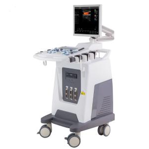 Quality 4D Color Doppler Ultrasound Machine Obstetrics And Gynecology Equipment Hospital wholesale
