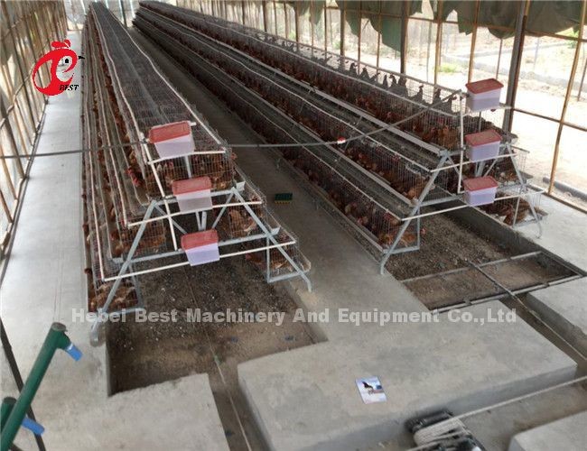 3-Tier Galvanized Poultry Cage System Mia