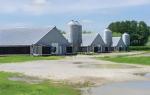 Anti Corrosion Metal Barn Workshop Prefab Chicken Houses Customization