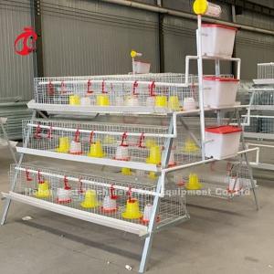 Quality Premium Poultry Farm A Type Pullet Chicken Cage Battery Chicken Brooding Cage Iris wholesale