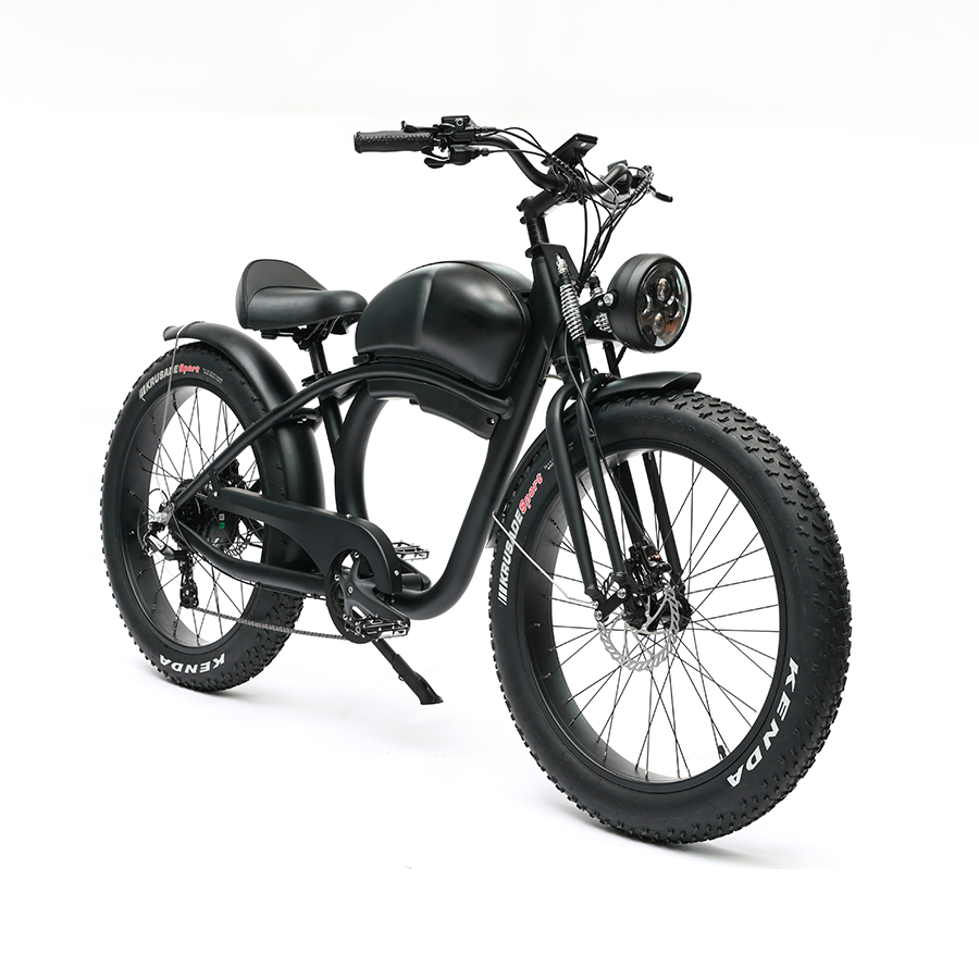 Long Range 48V 750W Rear Hub Motor Electric Motorbike with 48V 20Ah Lithium Battery