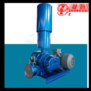 Quality Industrial Grade 50Hz Cast Iron Roots Vacuum Pump For Air / Gas Evacuation wholesale