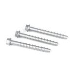 Standard According to Customers Needs M10 100mm Screw Anchor for Street
