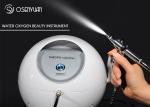 Water Injection Face Oxygen Sprayer