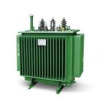S11 Oil Immersed Transformer