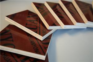 Quality Durable Exterior Hardwood Plywood , 12mm Hardwood Plywood For Building House wholesale