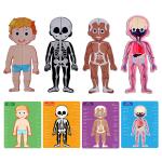 Magnetic Human Body Anatomy Play Set Multi Color Jigsaw Puzzle For Kids