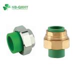1/2"-4" Inch ASTM DIN BS Sch40/80 PVC Pipe Fitting Female Socket Thread UPVC