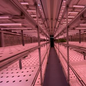 Quality 40 ft Container Hydroponic Smart Farming Greenhouse with Plant Growth LED Grow Light wholesale
