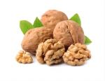 100% Natural Thin Skin Xin2 Walnut Best Price Wholesale Factory in Shell Hot