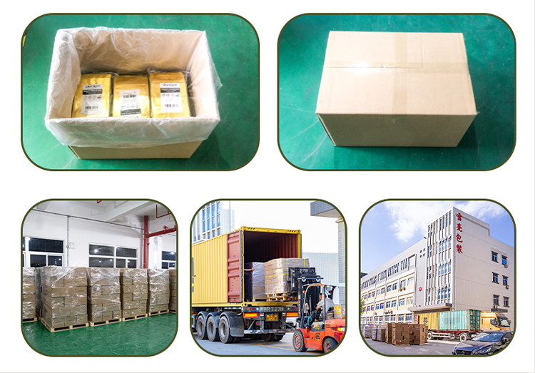Customizable Resealable Floss Pick Packaging Bags High-Barrier Plastic Composite FDA-Compliant Bulk Orders​
