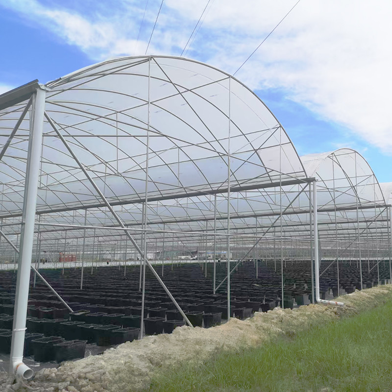 Durable Custom Size Agricultural Poly Large Tunnel Film Multi-span Greenhouse
