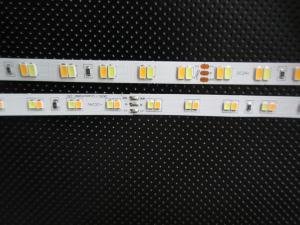 Quality 5050 2835 3528 5630 WW/W CCT dimmable led strip wholesale