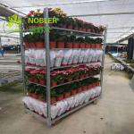 Q235 Dutch Trolley Shelves