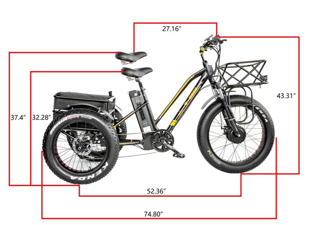 Disc Brake 750W Electric Cargo Tricycle Fat Tire 3 Wheel E Trike for Long Range Travel