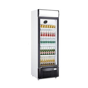 Quality Single Door Beverage Display Cooler , 438L Commercial Beverage Fridge wholesale