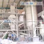 Tower Type Full Automatic Dry Mix Mortar Production Line Carbon Steel Material