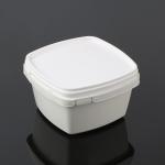 500g Compostable Dishware Take Away Food Container
